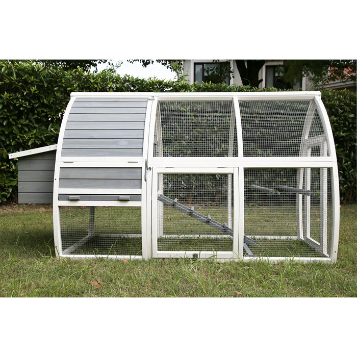 Pets Imperial® Chicken Coops Chicken Coop with Chicken Run For Up To 5